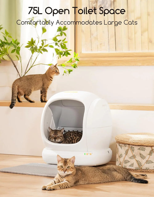 Load image into Gallery viewer, Smart Automatic Self-Cleaning Cat Litter Box, APP Control/Integrated Safety Protection,White
